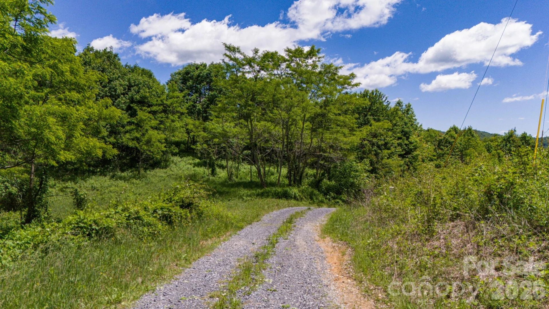 Tract 2 Turkey Trot Road - Photo 33