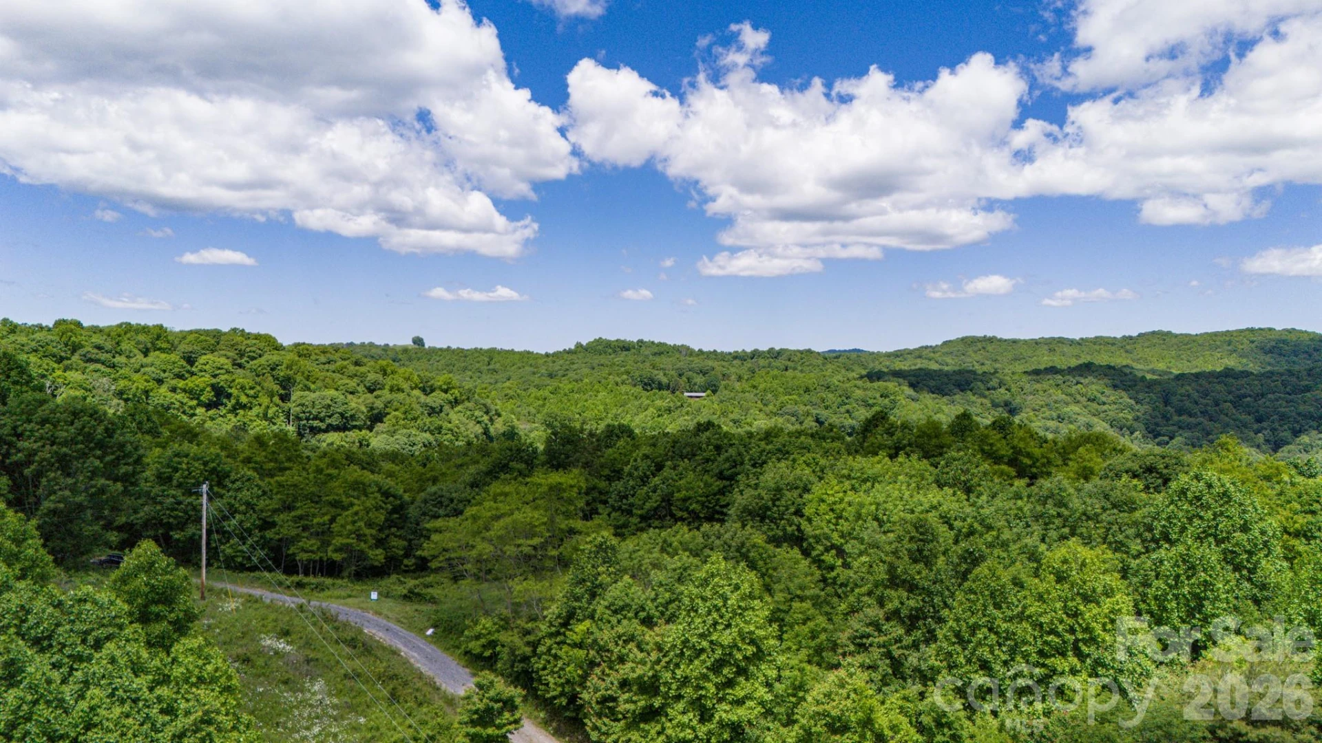 Tract 2 Turkey Trot Road - Photo 36