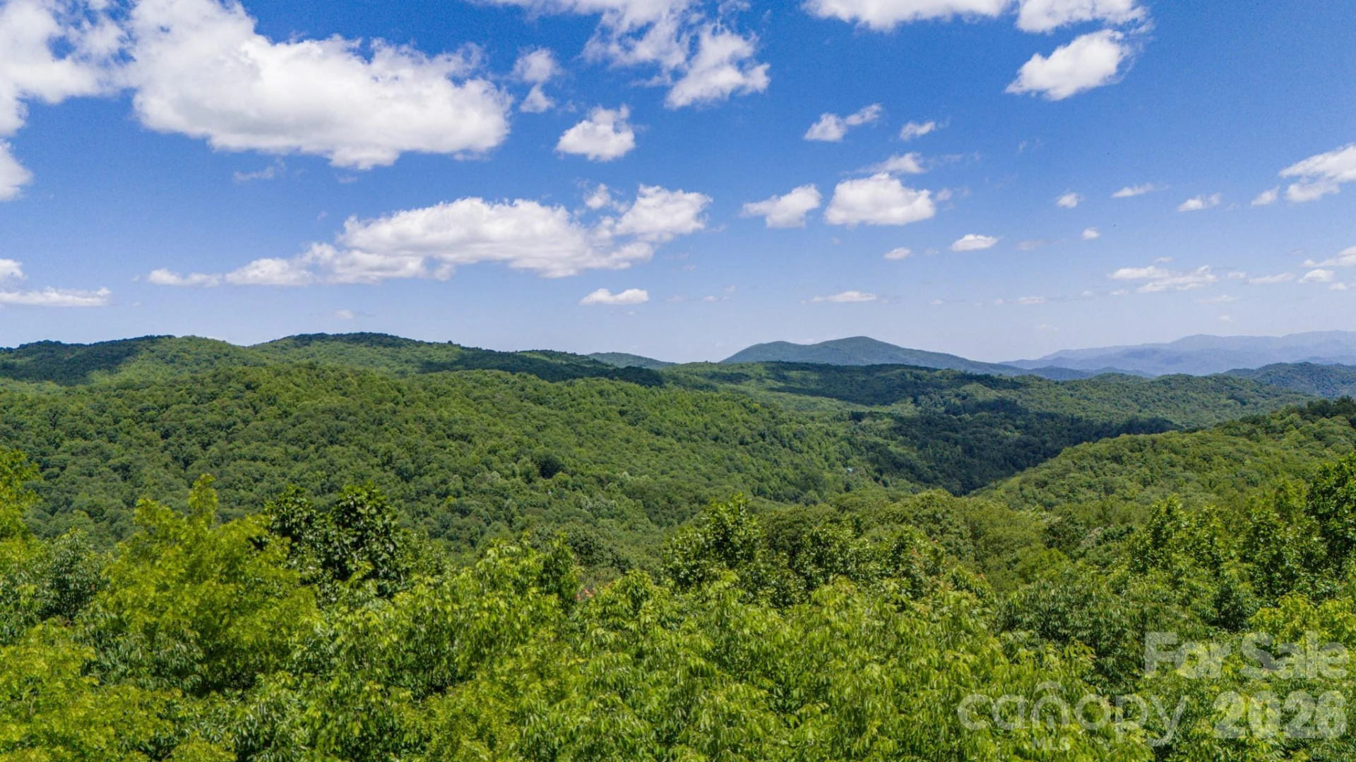 Tract 2 Turkey Trot Road - Photo 37