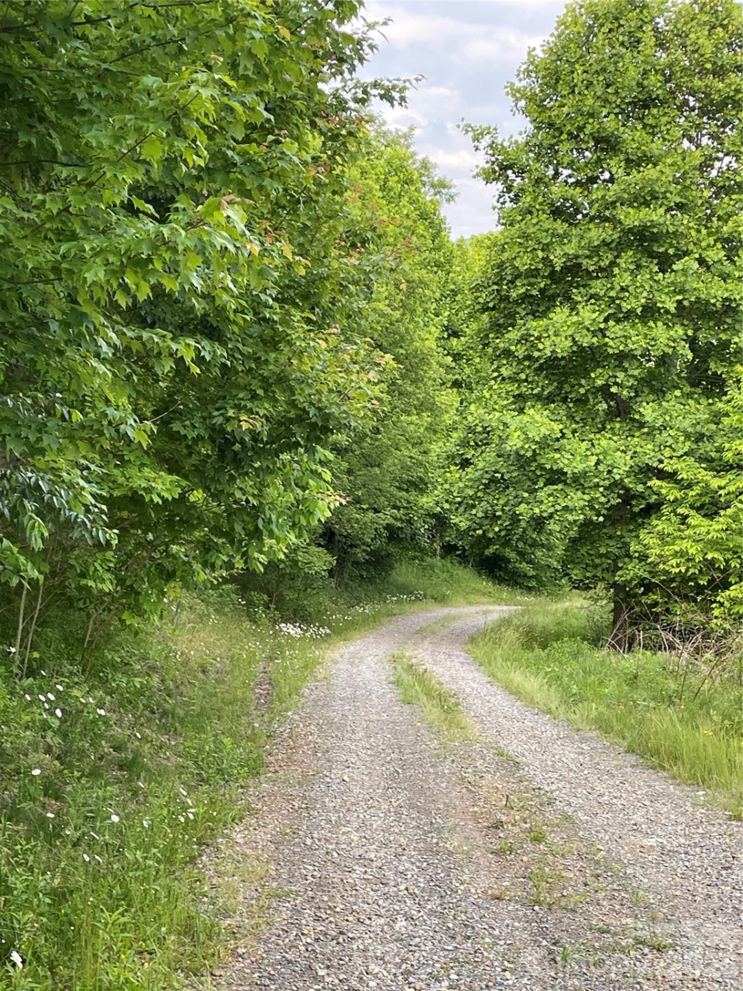 Tract 2 Turkey Trot Road - Photo 38