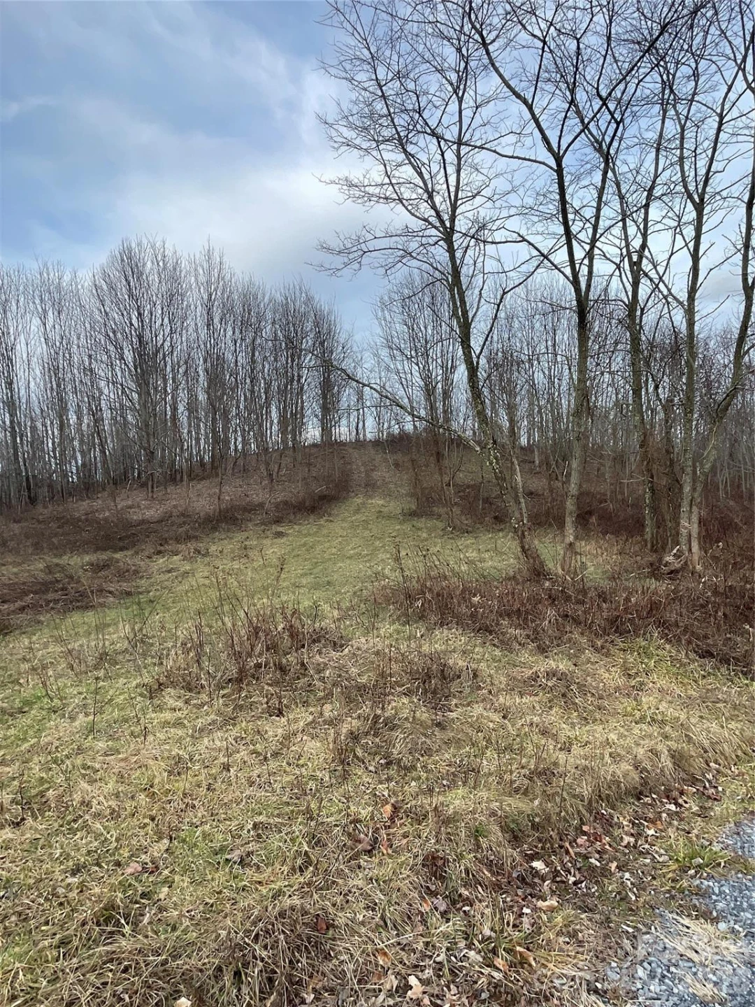 Tract 2 Turkey Trot Road - Photo 39
