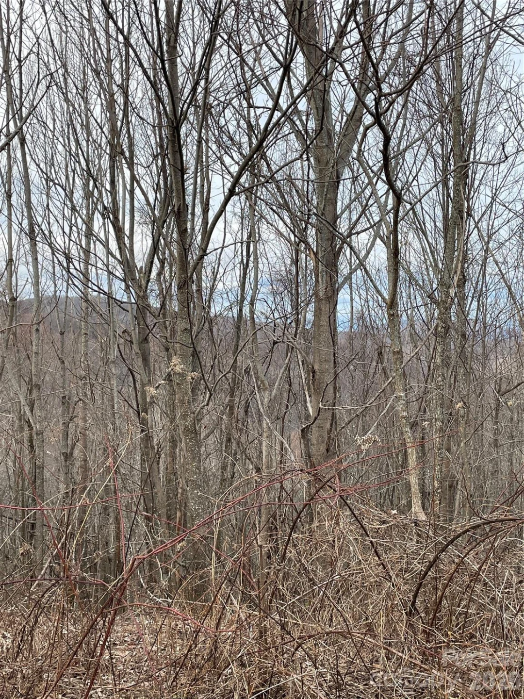 Tract 2 Turkey Trot Road - Photo 40