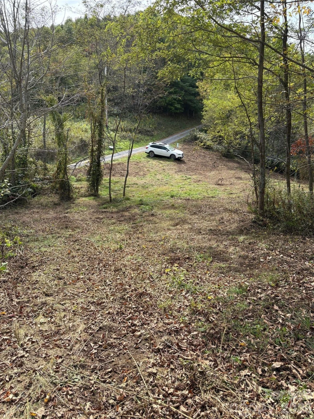 Tract 2 Turkey Trot Road - Photo 5