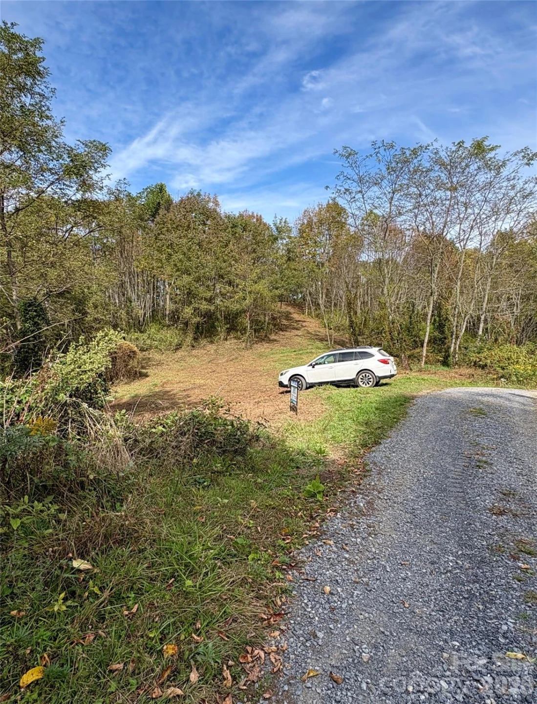 Tract 2 Turkey Trot Road - Photo 6