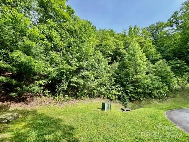 271 Mountain Morning Lane