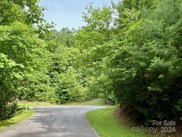 271 Mountain Morning Lane #41 - Photo 3