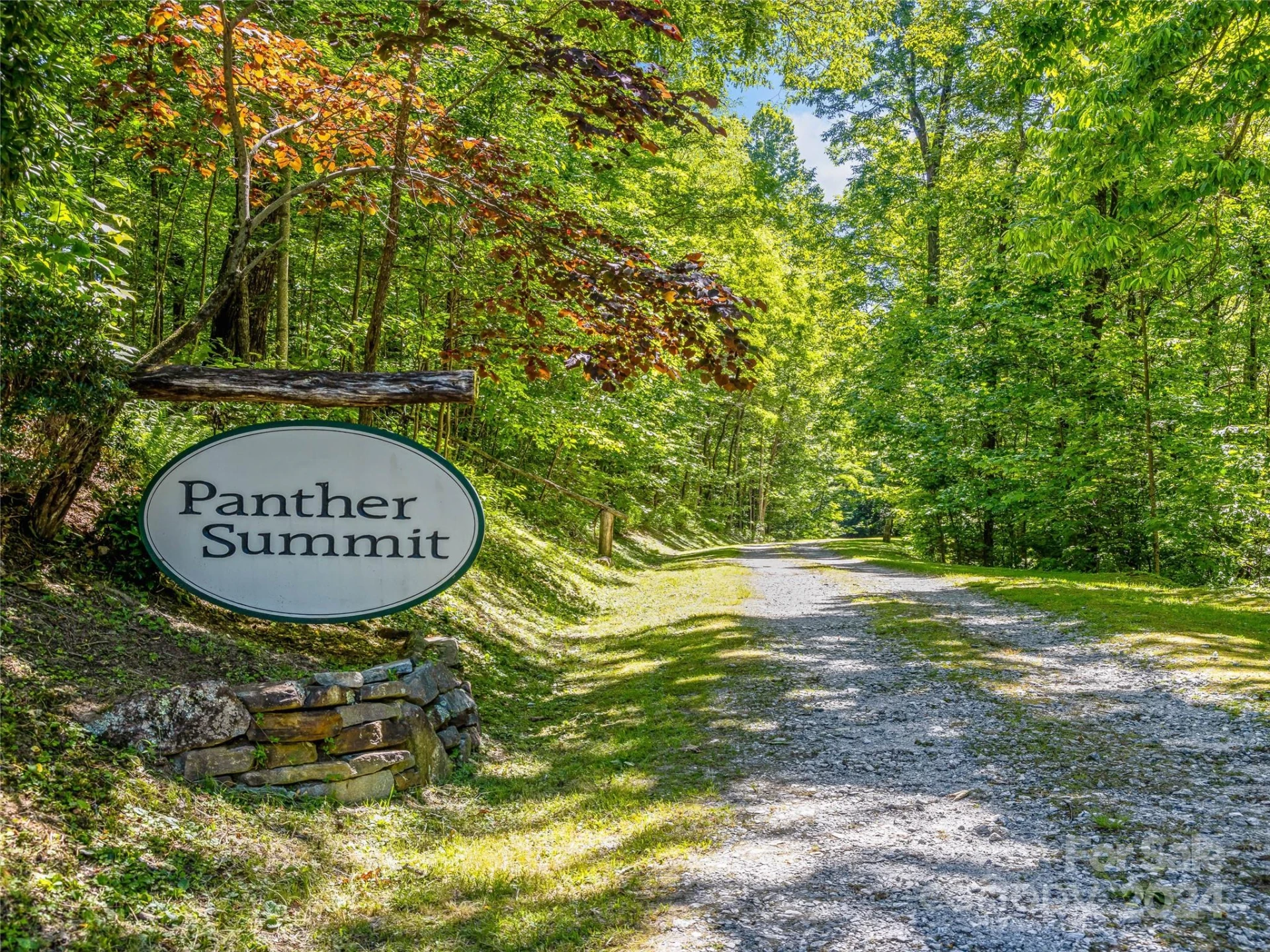 PS 3 Panther Summit Drive - Photo 2