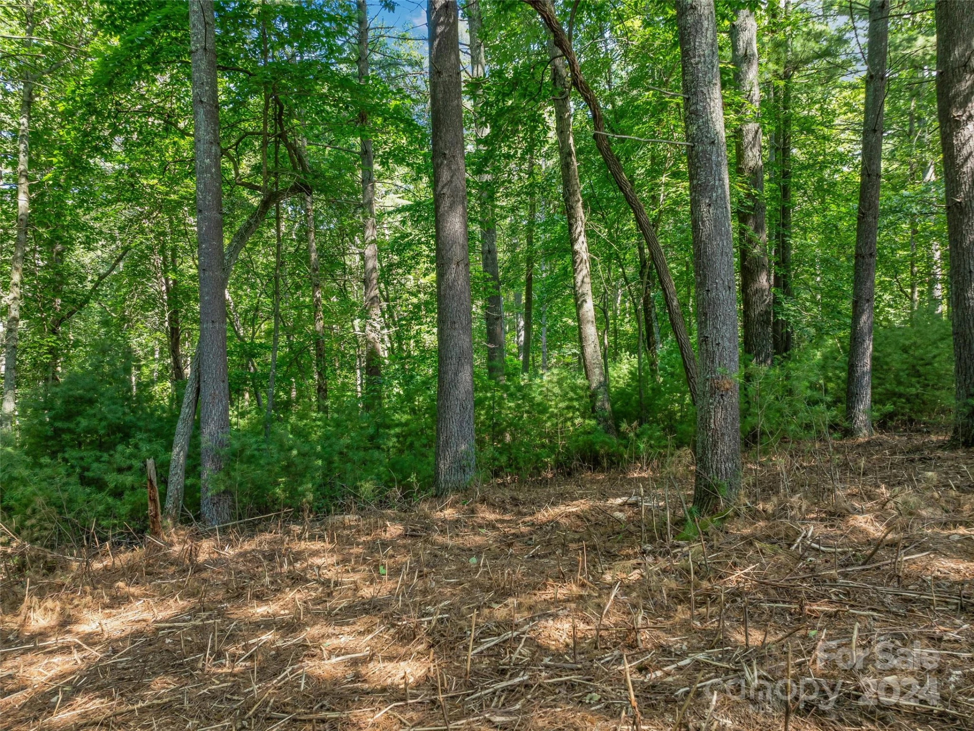 128 Mirehouse Run #144 - Photo 23