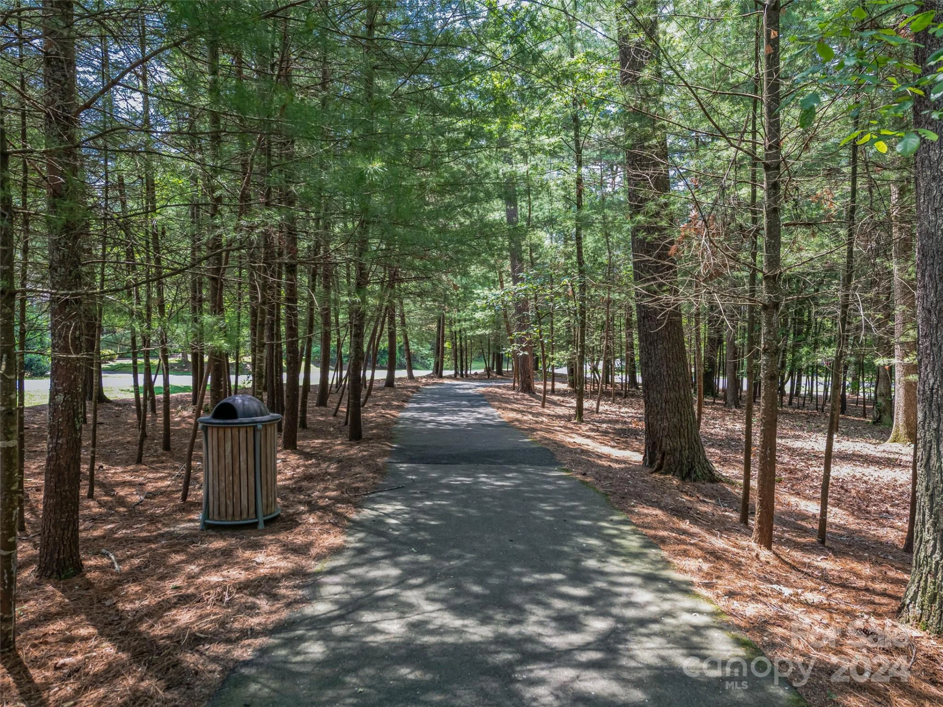 128 Mirehouse Run #144 - Photo 36