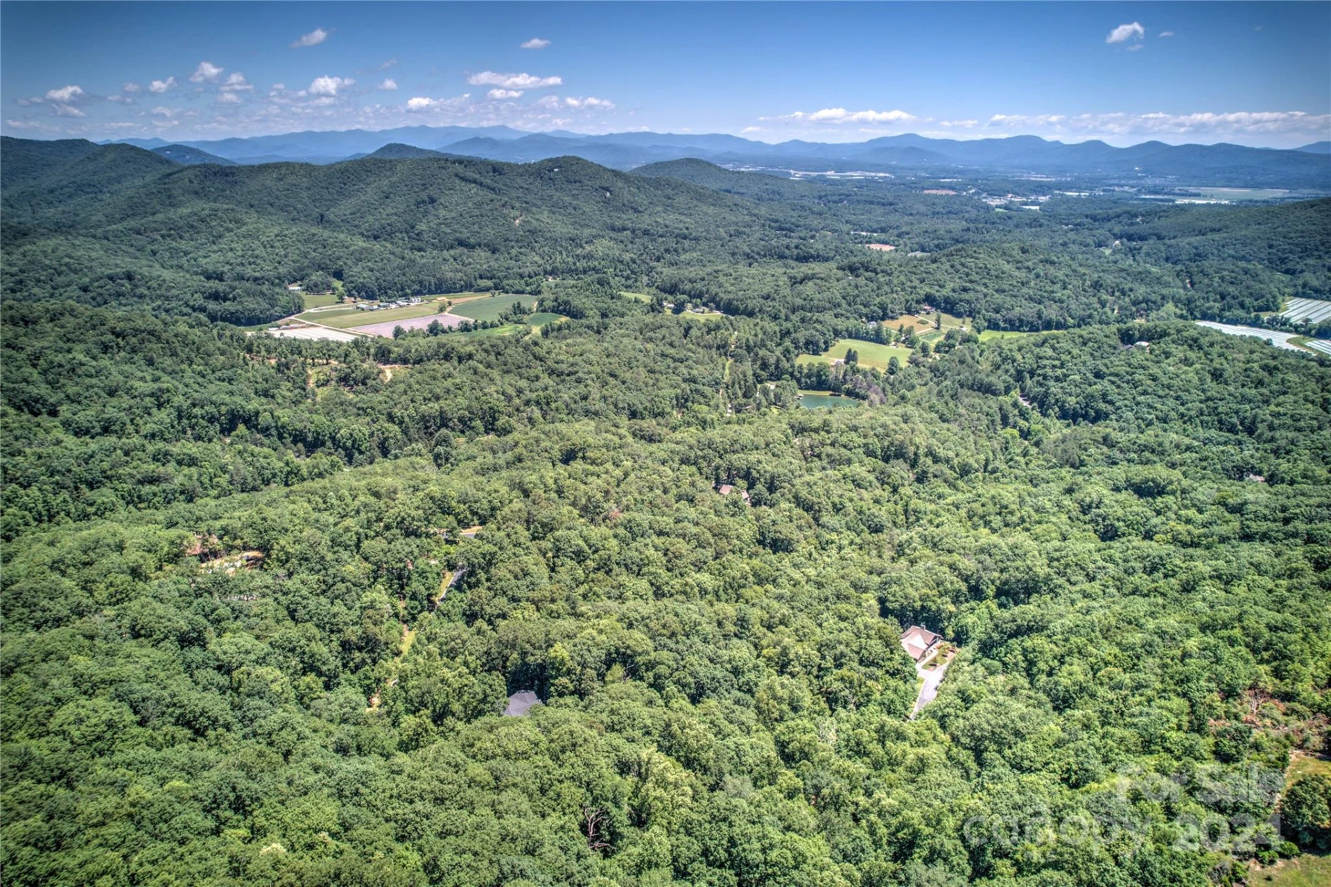 567 Shining Rock Path - Photo 12