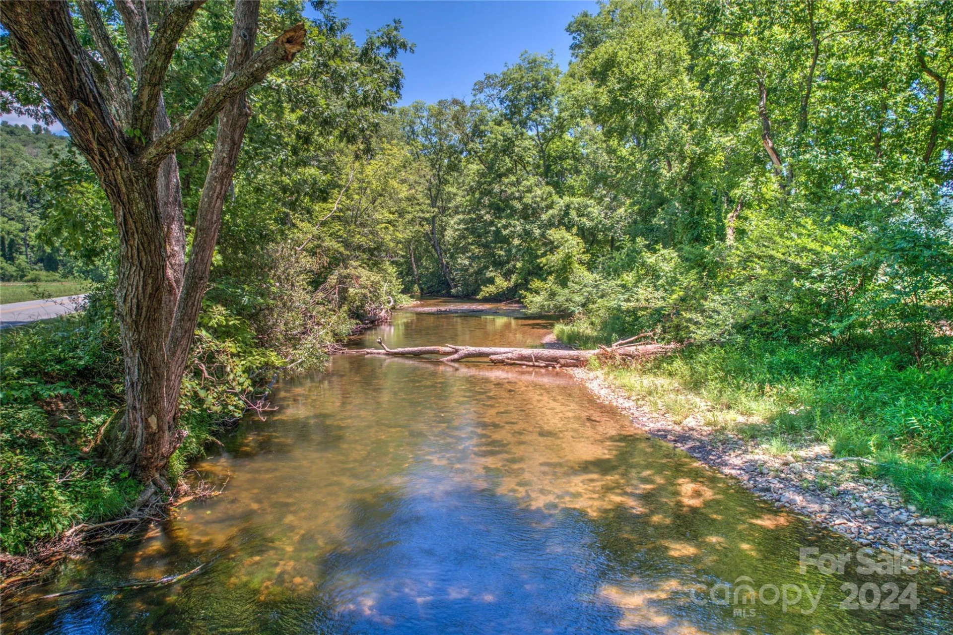 567 Shining Rock Path - Photo 15