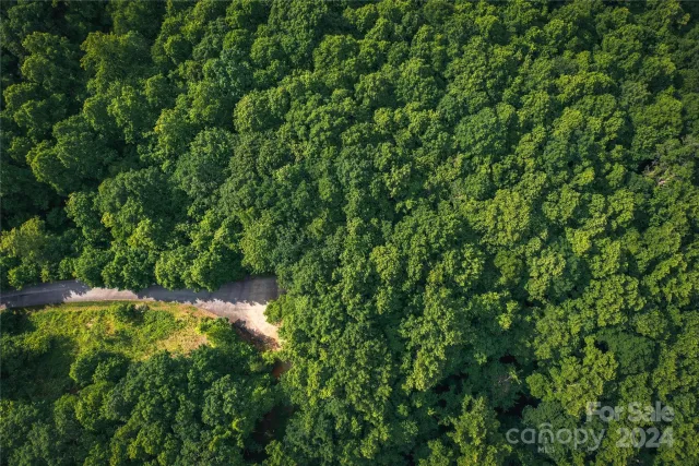 240 Smokemont Drive, Arden, NC, 28704