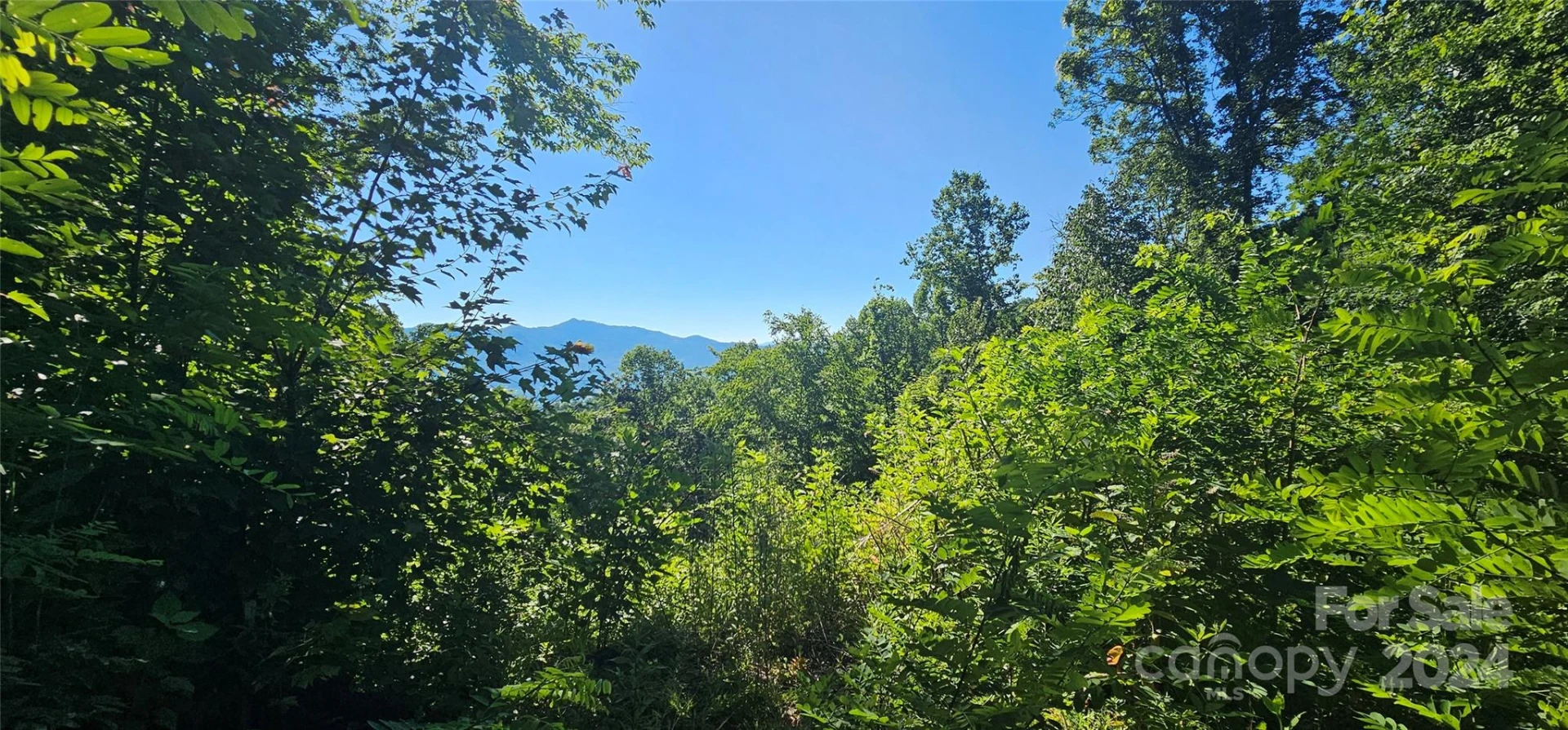 8 Lots Frontier Way - Photo 9