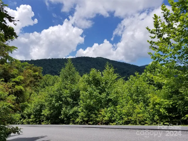 567 Blue Mist Way, Arden, NC, 28704