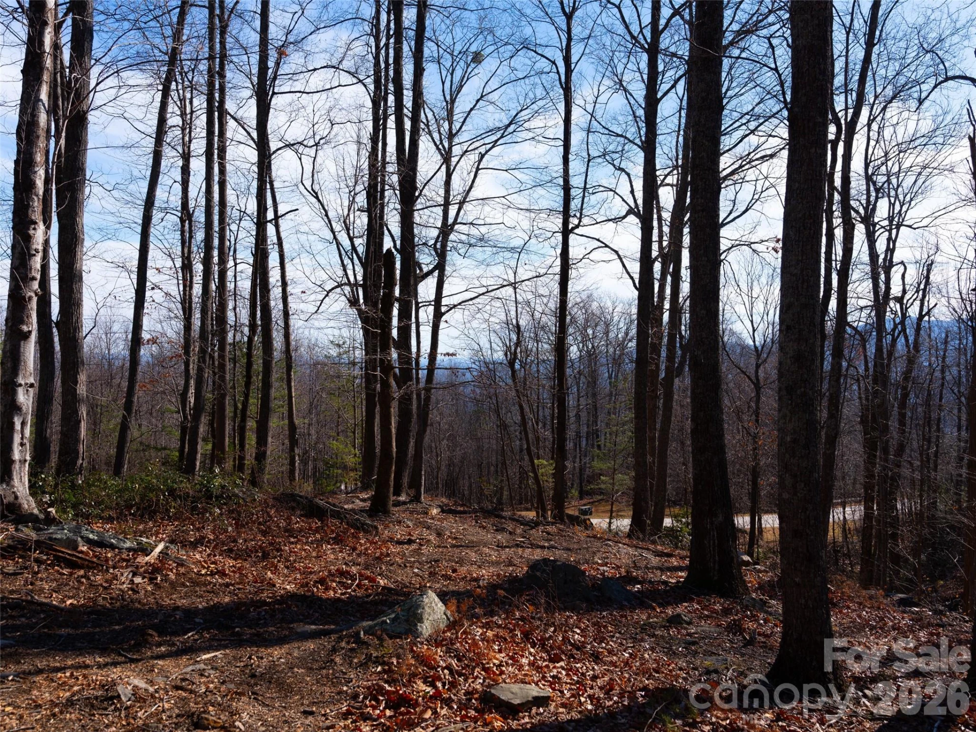220 Chesterfield Drive - Photo 6