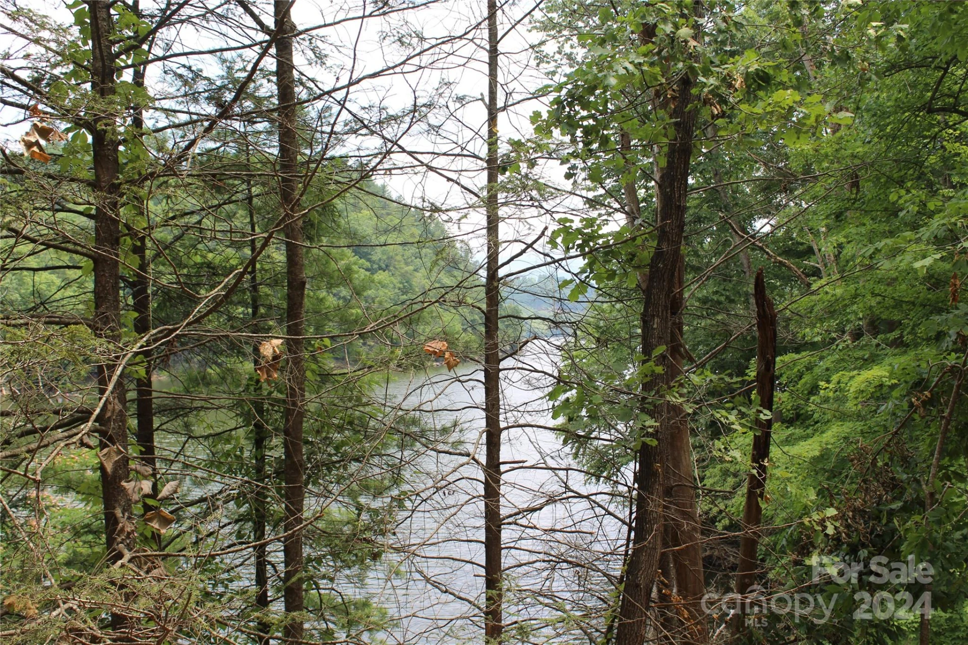 000 White Oak Road - Photo 20