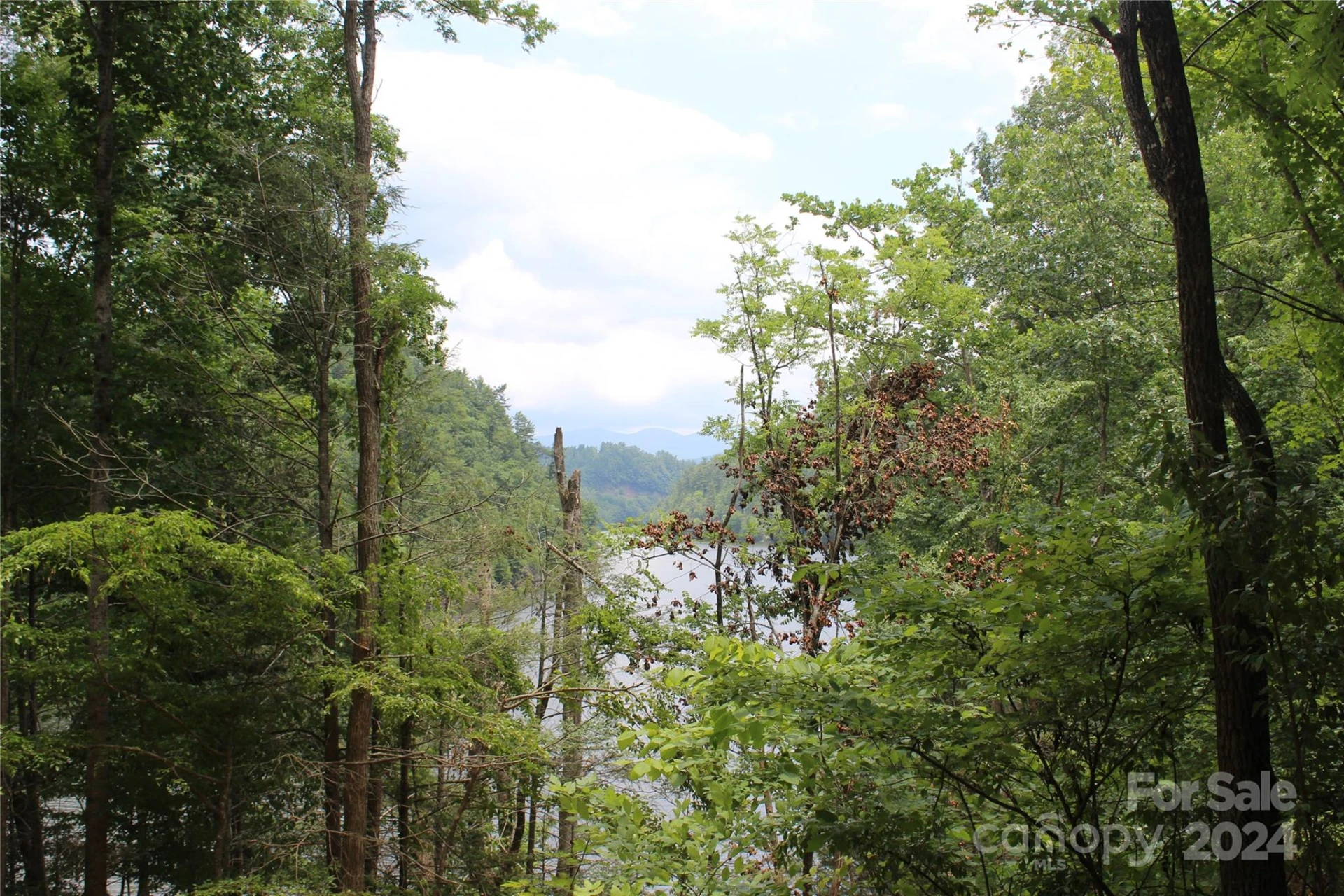 000 White Oak Road - Photo 21