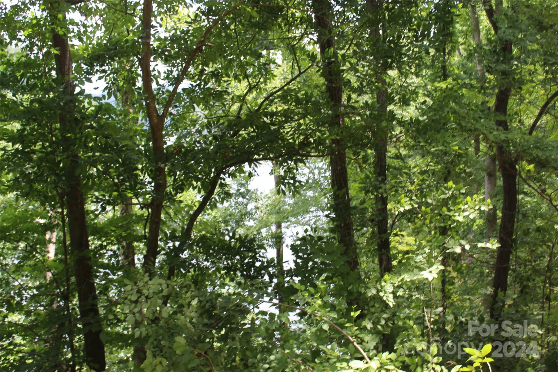 000 White Oak Road - Photo 23