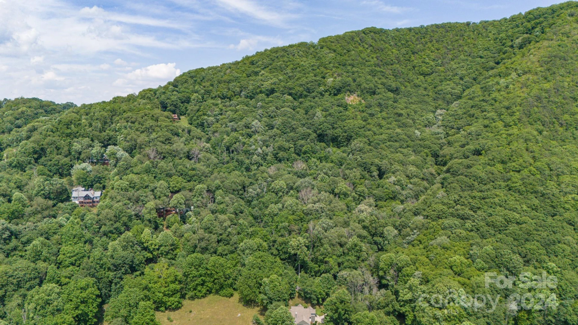 35 Twisted Trail - Photo 6