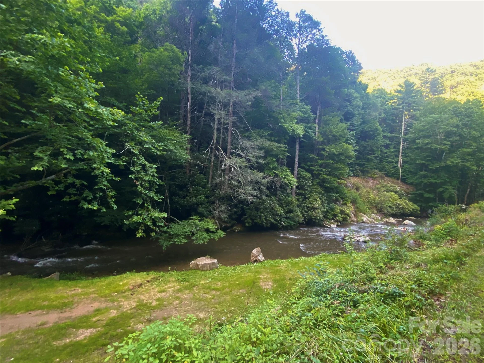 0000 Big Laurel Road - Photo 2
