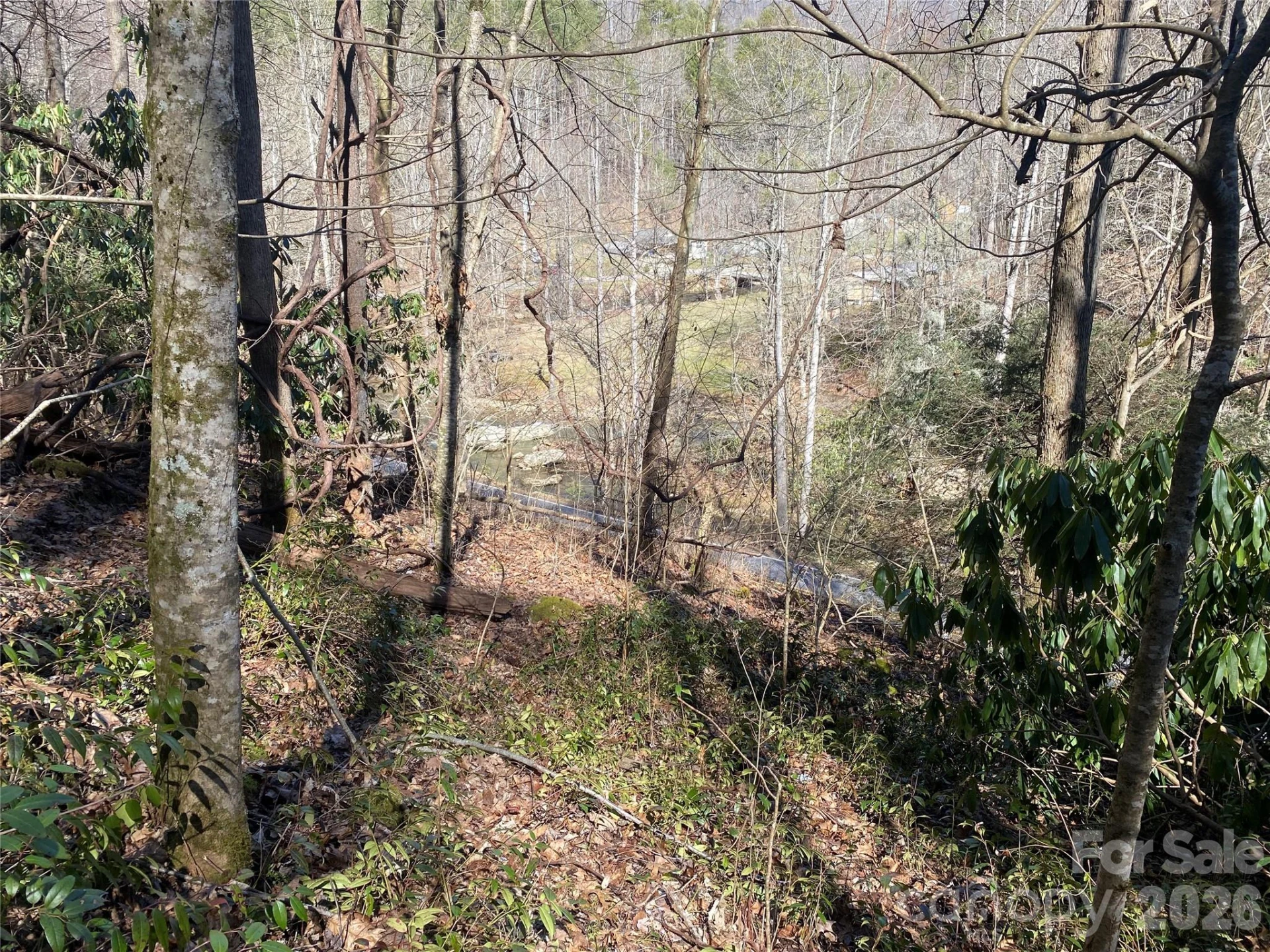 0000 Big Laurel Road - Photo 12