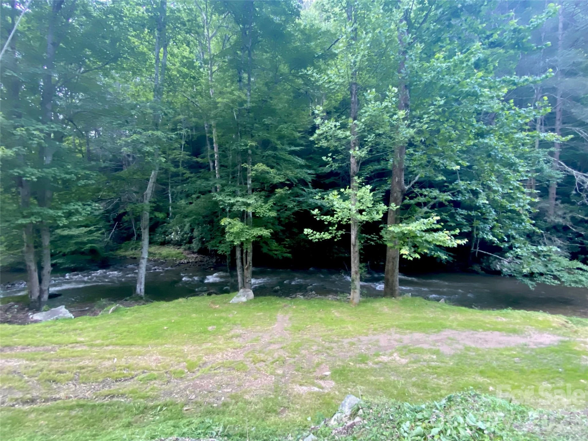 0000 Big Laurel Road - Photo 13