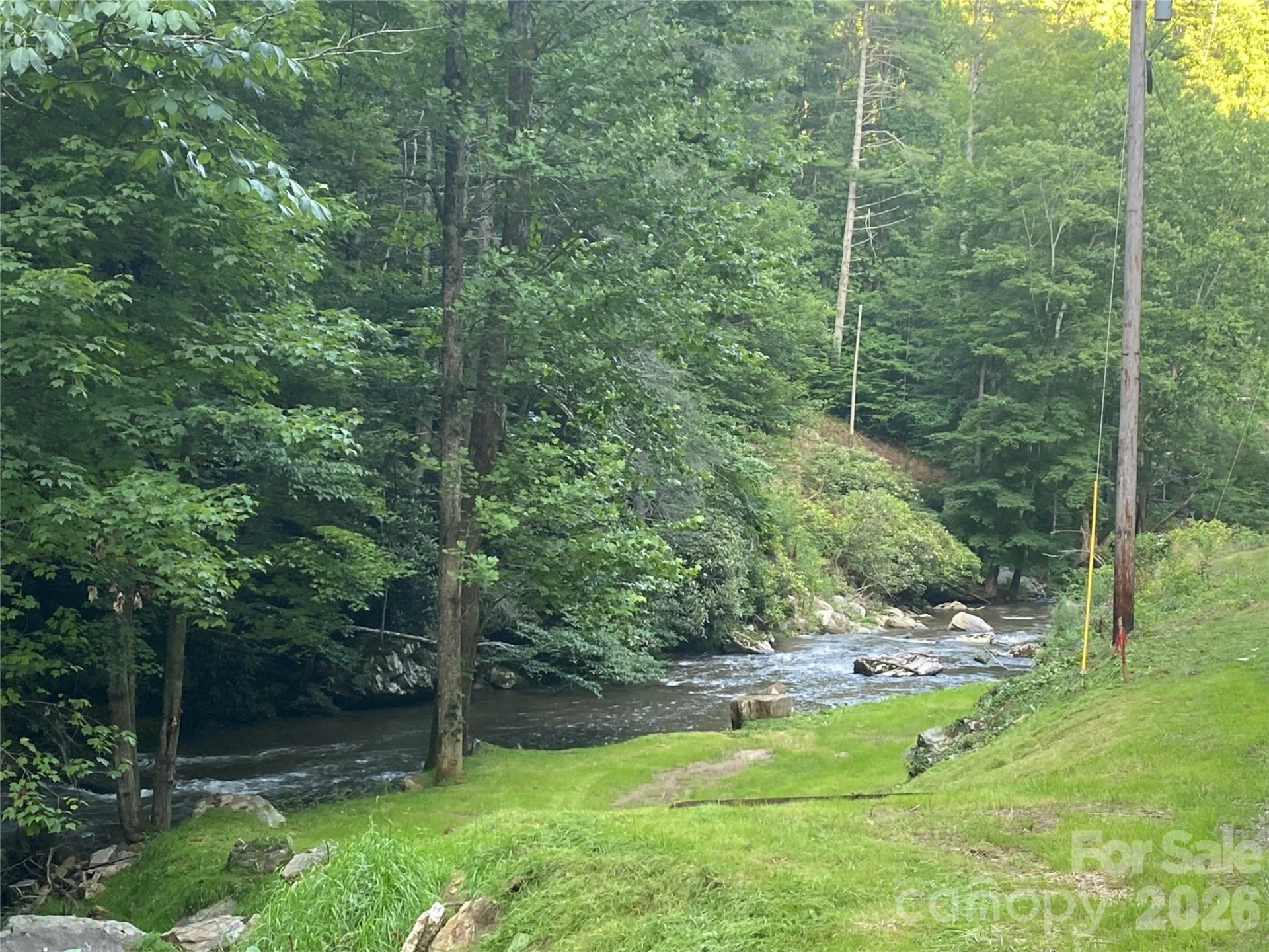 0000 Big Laurel Road - Photo 14
