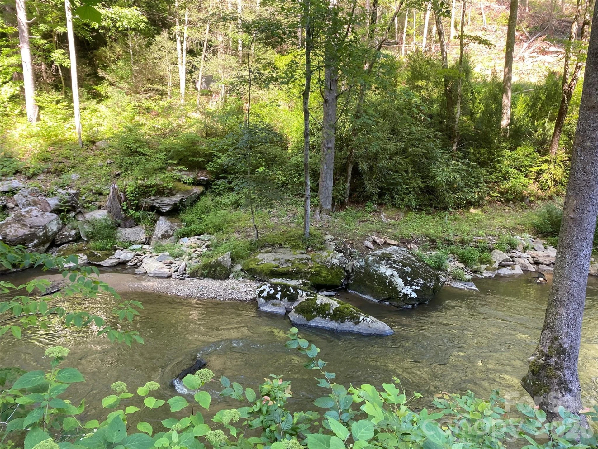 0000 Big Laurel Road - Photo 3