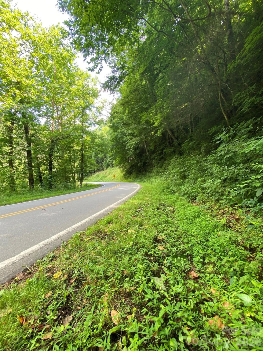 0000 Big Laurel Road - Photo 8