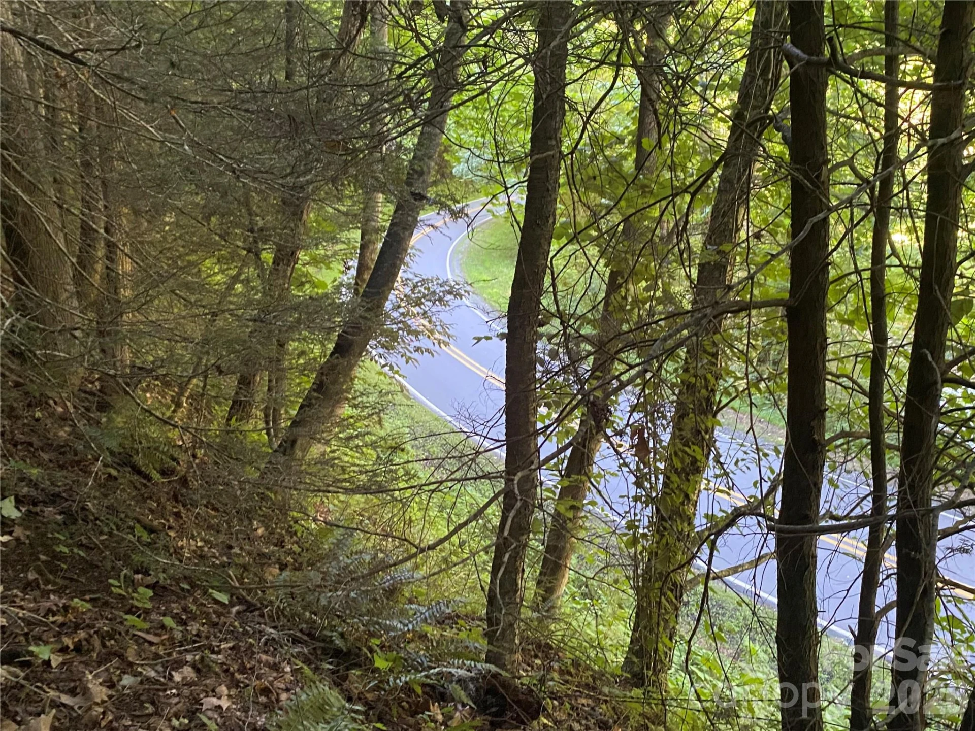 0000 Big Laurel Road - Photo 9