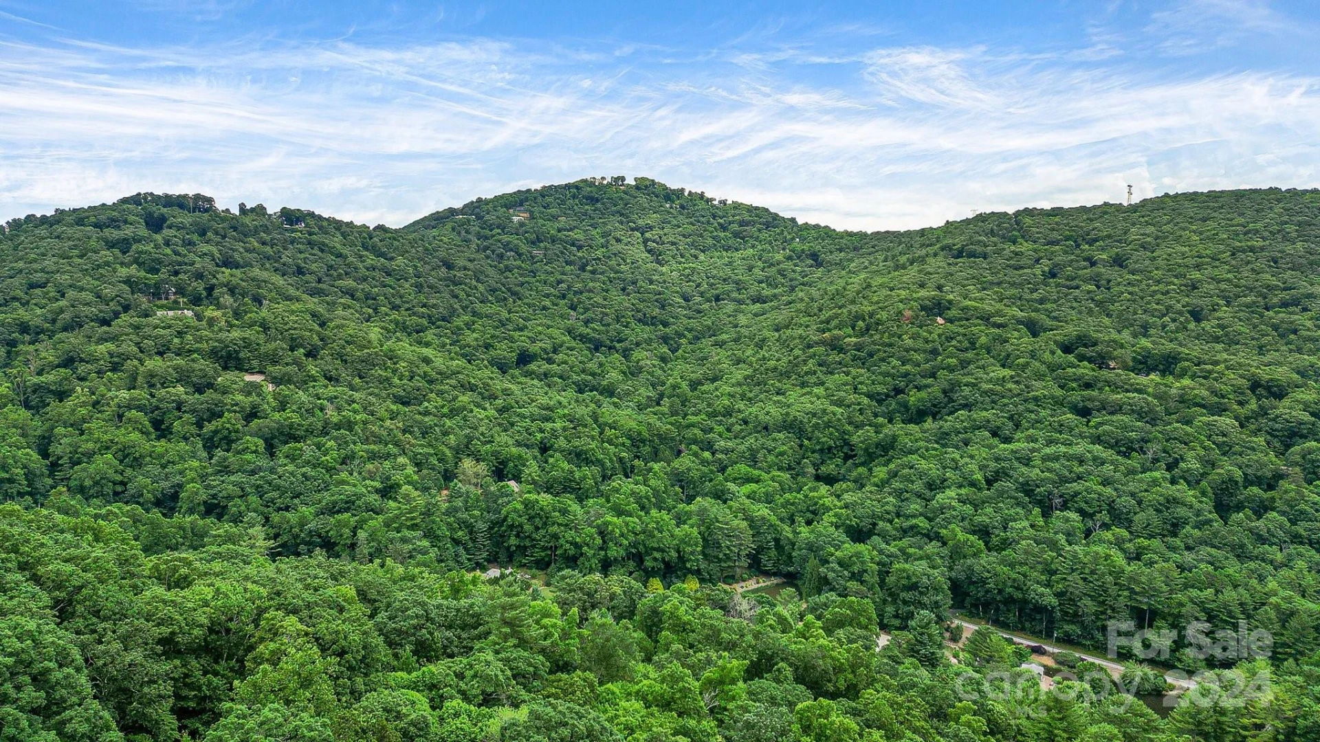 99999 Vance Gap Road - Photo 11