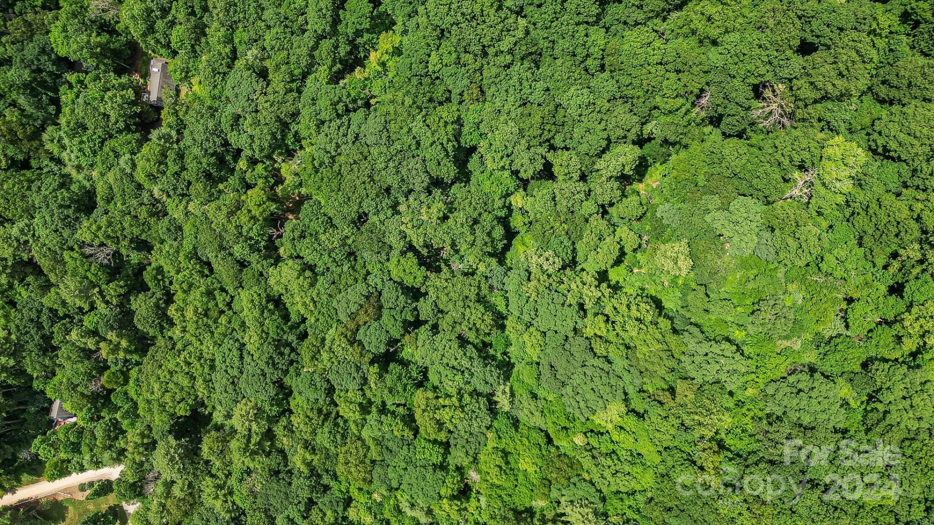 99999 Vance Gap Road - Photo 16