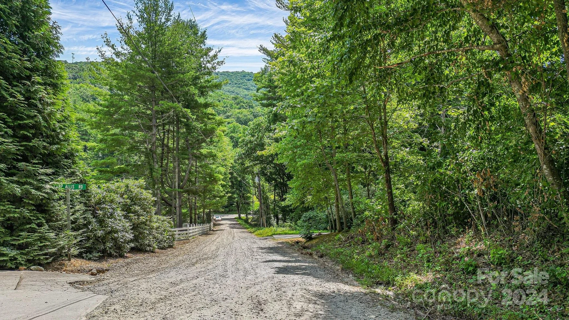 99999 Vance Gap Road - Photo 17