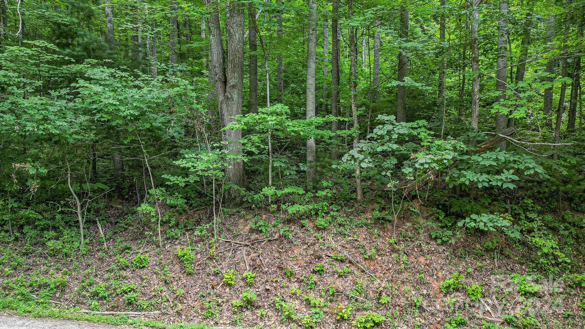 99999 Vance Gap Road - Photo 19