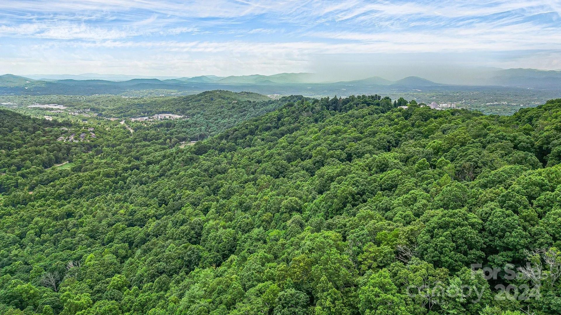 99999 Vance Gap Road - Photo 9