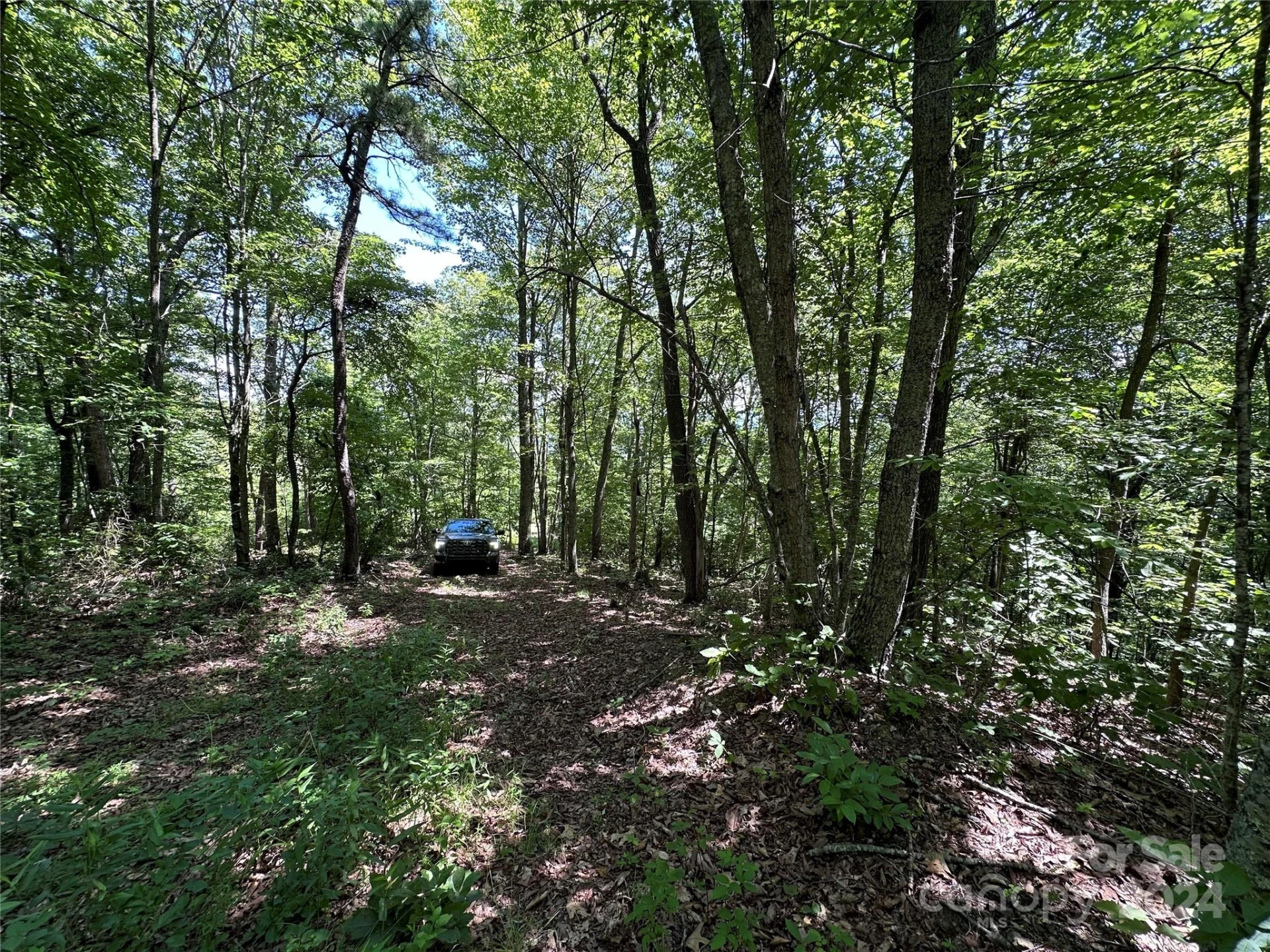 000 Destiny Farms Road - Photo 21