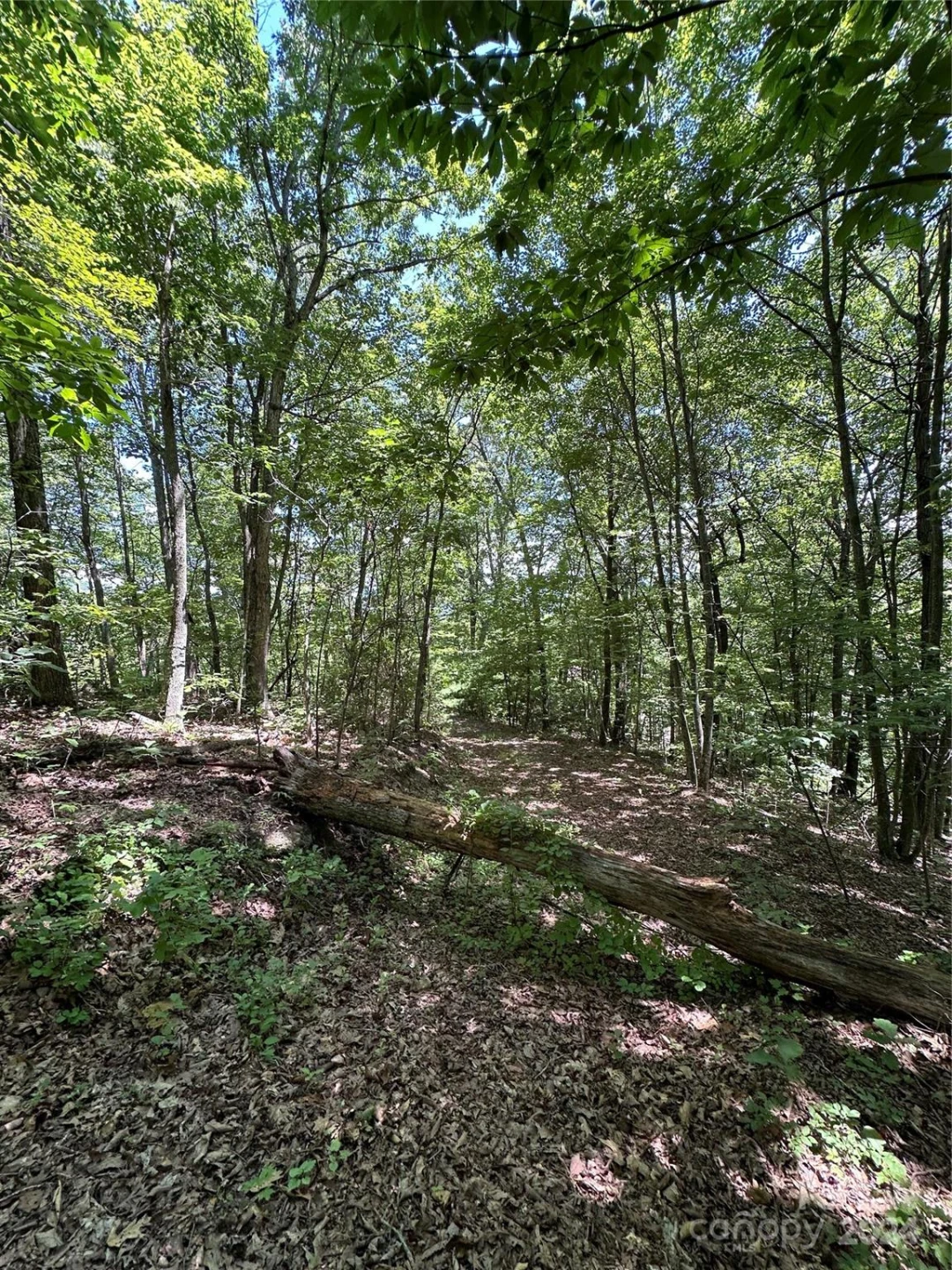 000 Destiny Farms Road - Photo 43