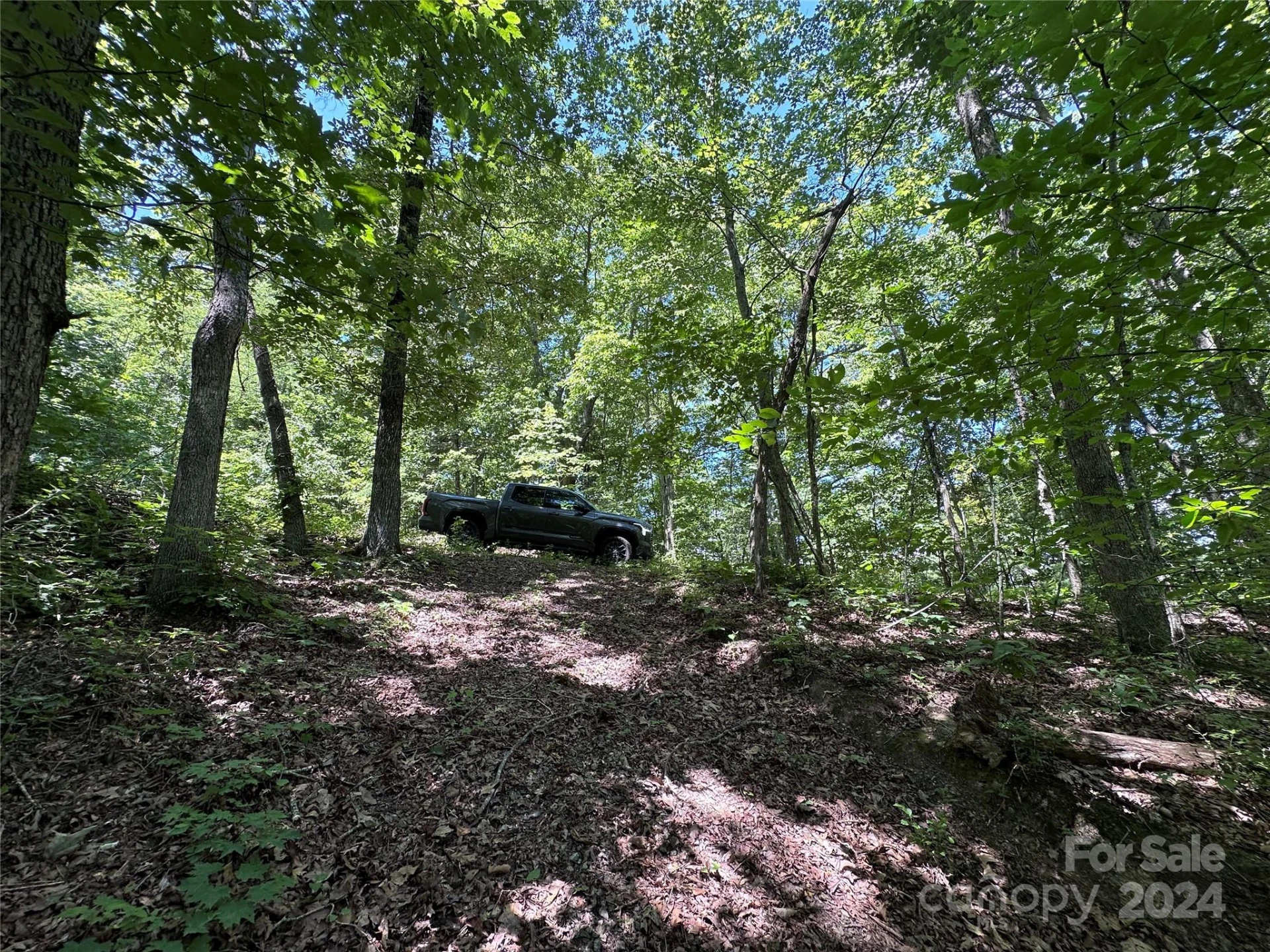 000 Destiny Farms Road - Photo 44
