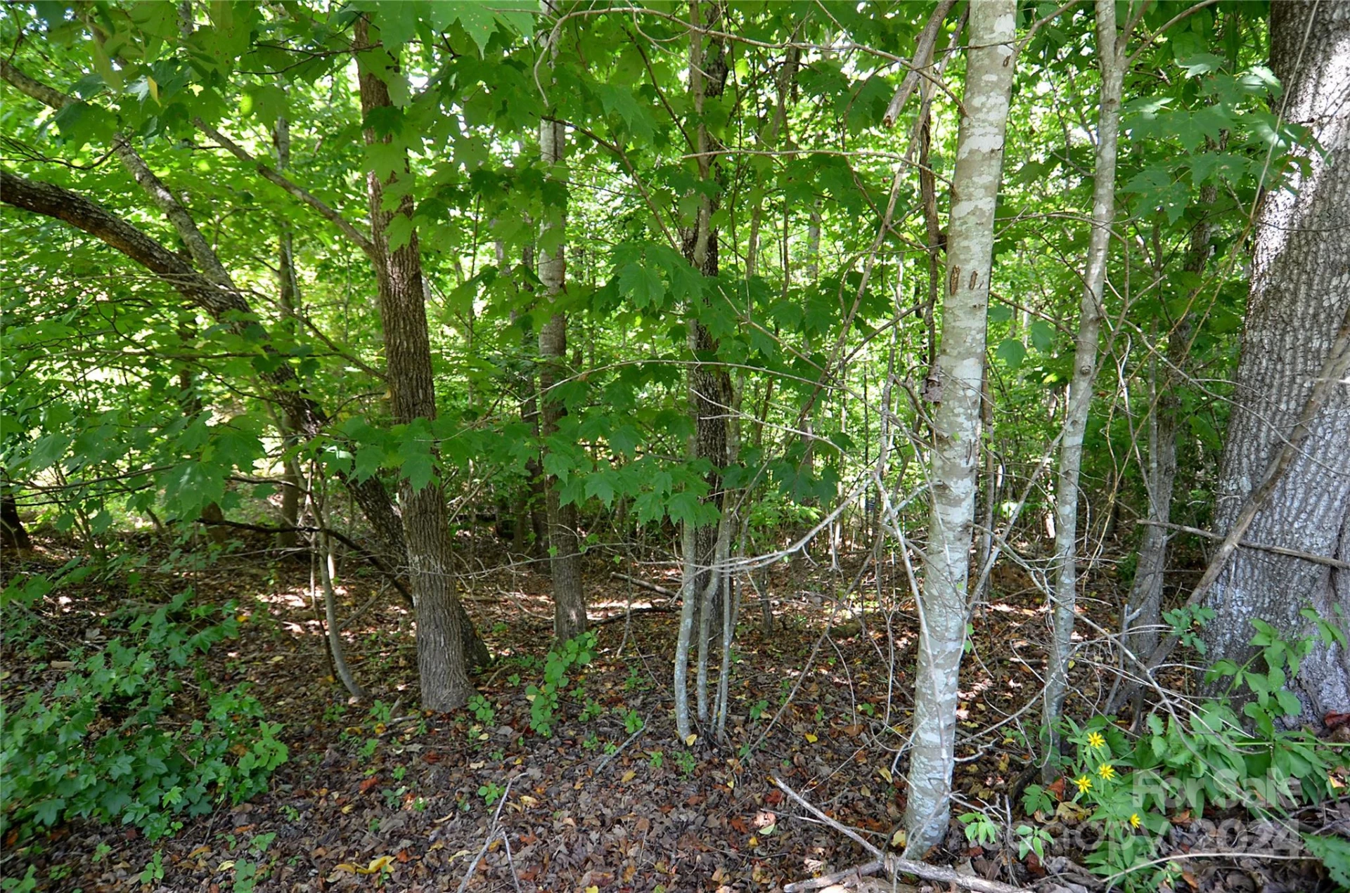 00 Victoria Drive - Photo 3