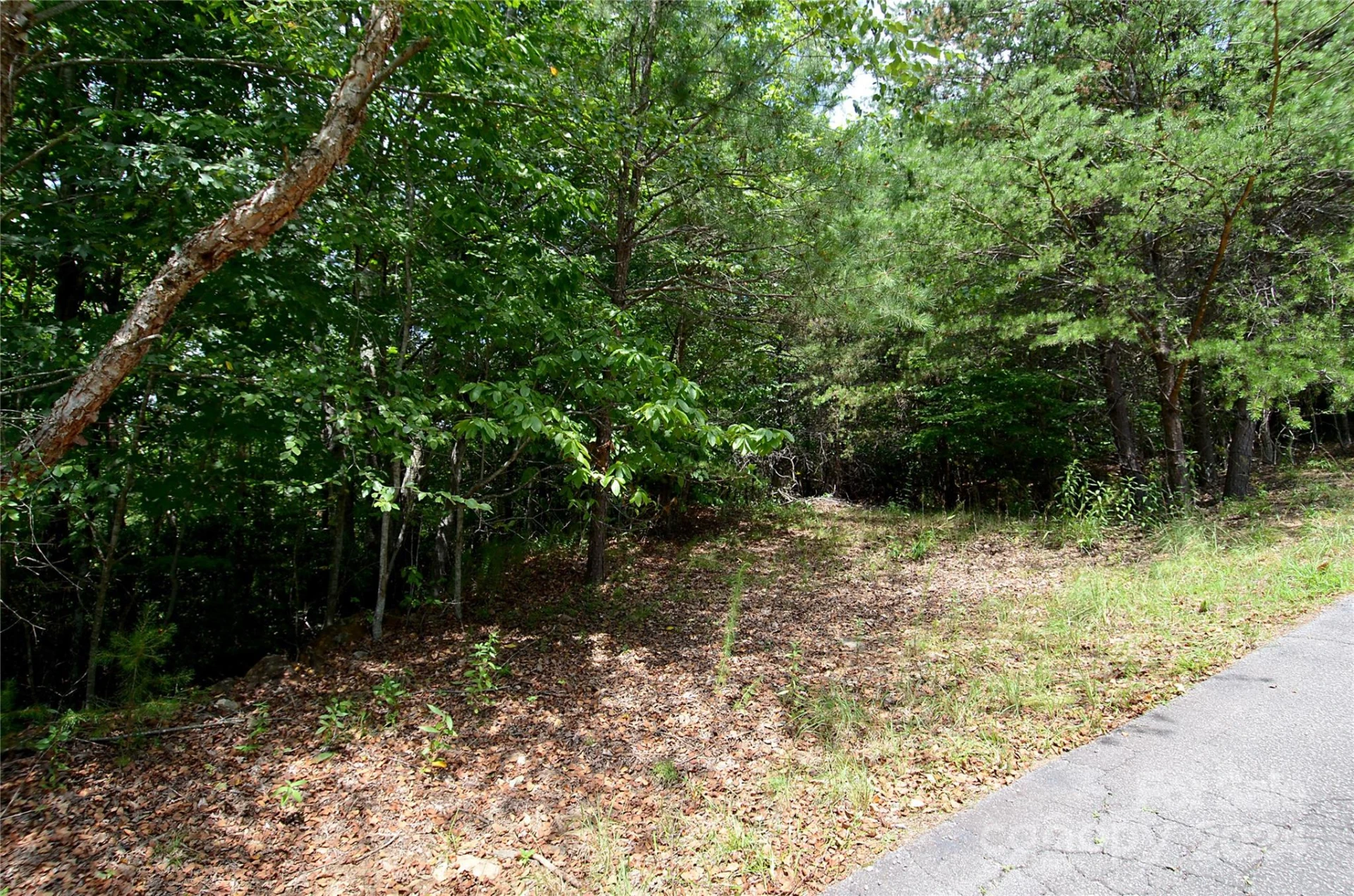 00 Victoria Drive - Photo 4