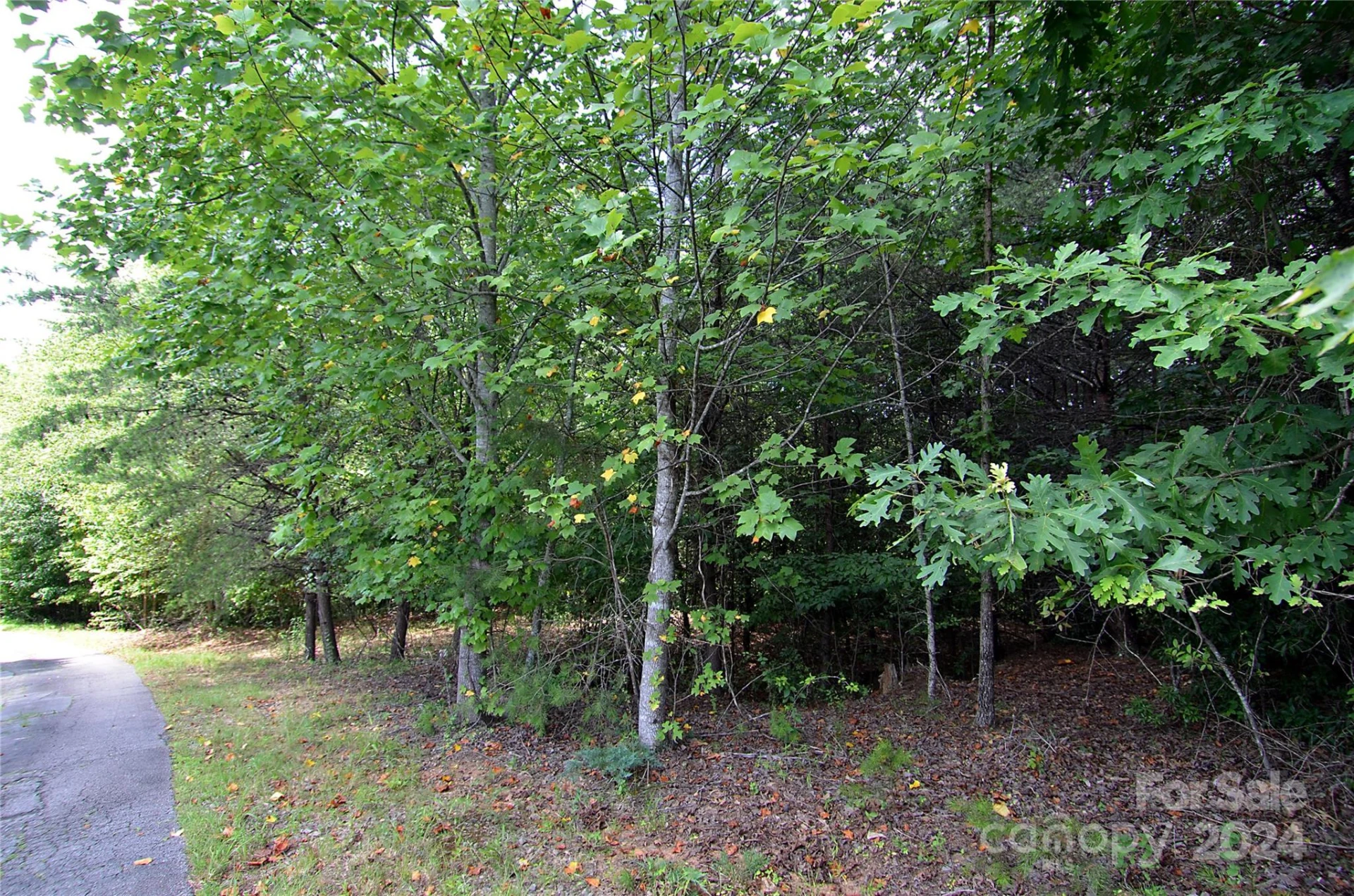00 Victoria Drive - Photo 7