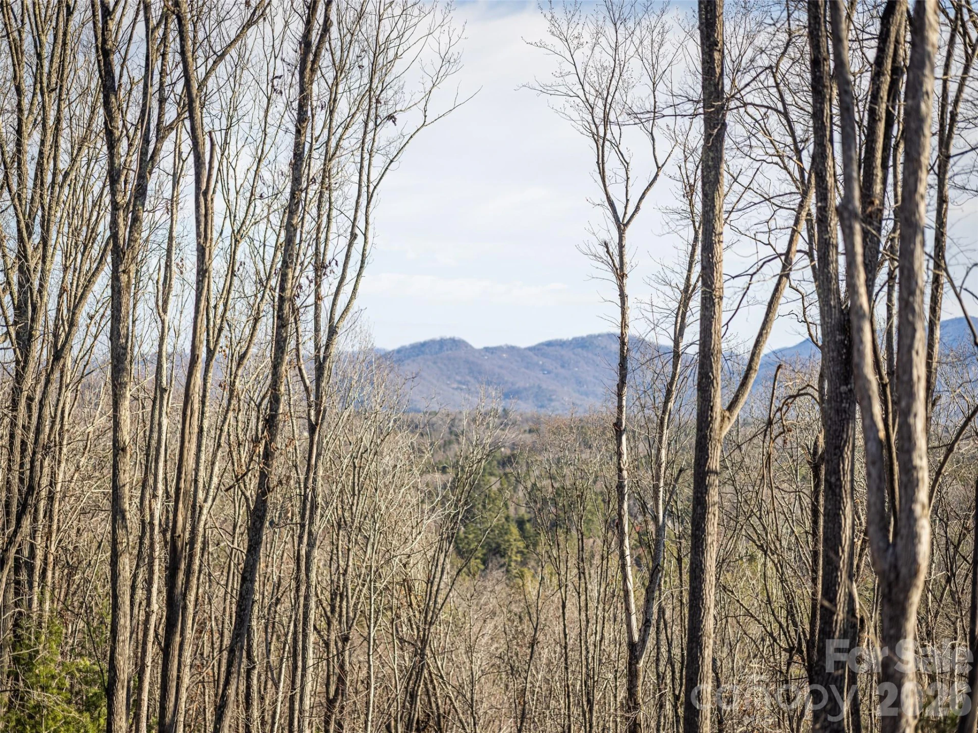 676 Tea House Drive #902 - Photo 6