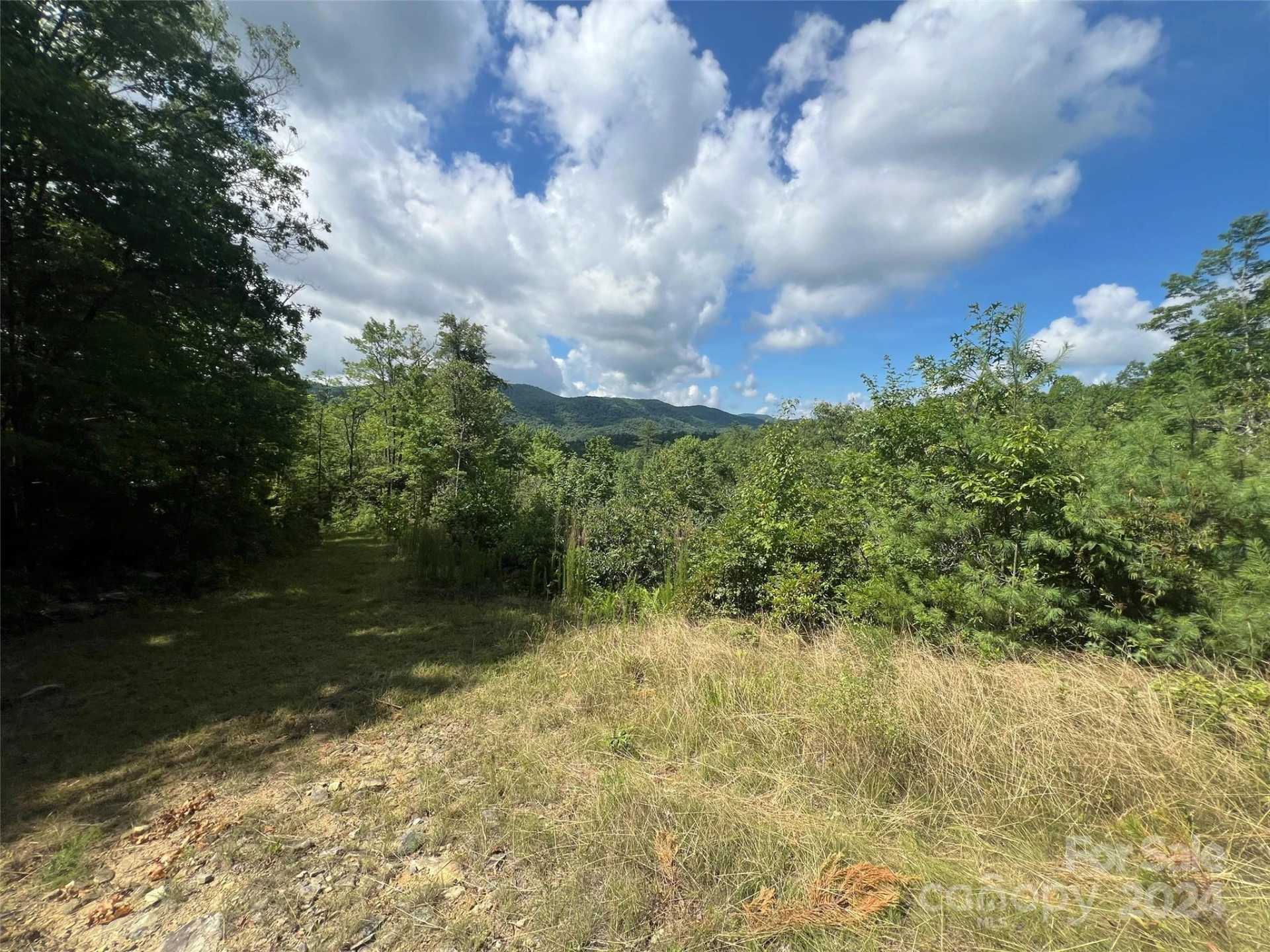 667 Laurel Thicket Lane - Photo 13