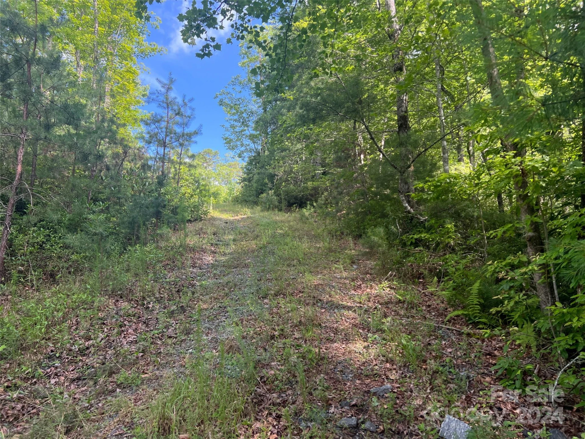 667 Laurel Thicket Lane - Photo 18
