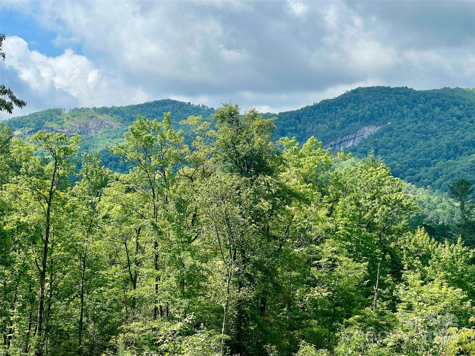 667 Laurel Thicket Lane - Photo 24
