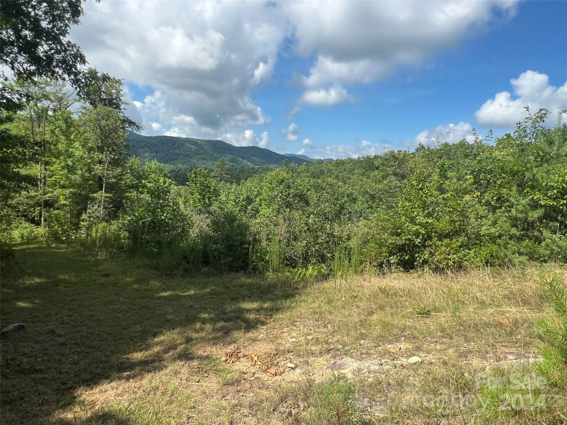 667 Laurel Thicket Lane - Photo 10