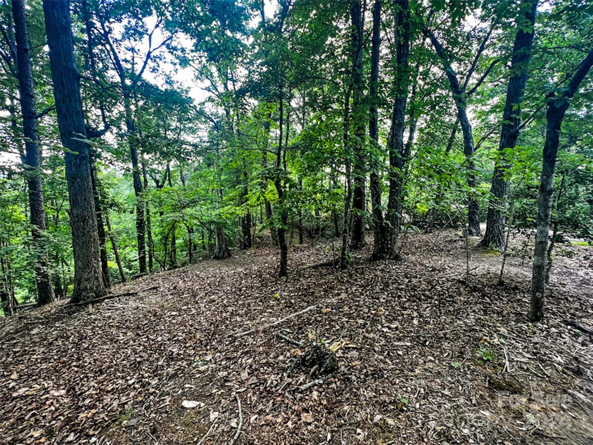 00 Whitney Boulevard #Lot 124