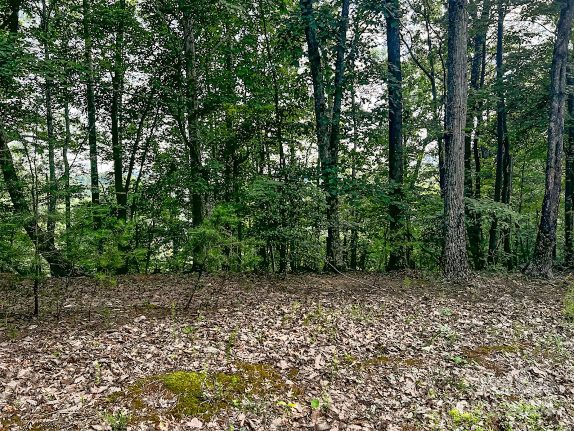 00 Whitney Boulevard #Lot 124 - Photo 2