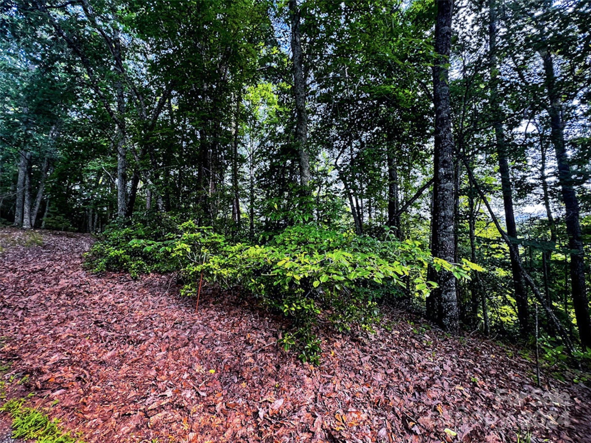 00 Whitney Boulevard #Lot 124 - Photo 4