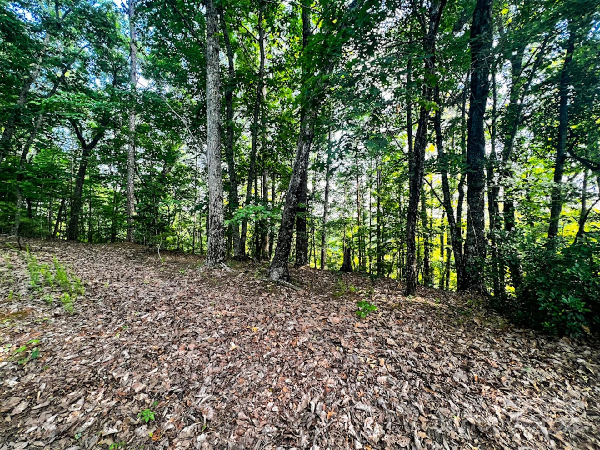 00 Whitney Boulevard #Lot 124 - Photo 6